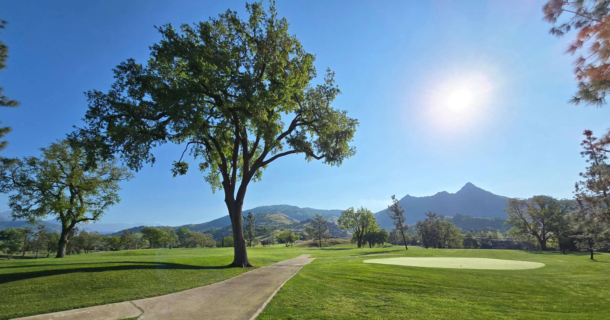 A sunlit golf course with a winding path, surrounded by lush green grass and tall trees, against a backdrop of distant mountains under a clear blue sky.